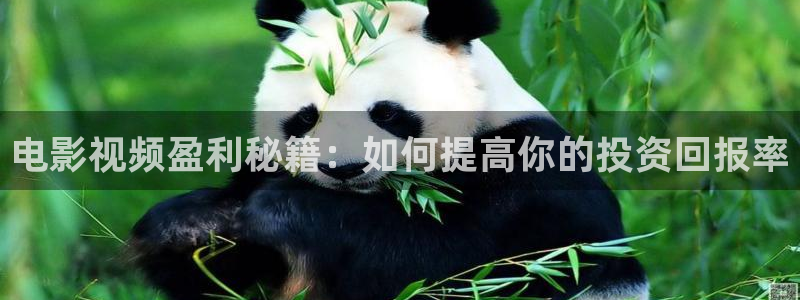 合肥星空今日影讯