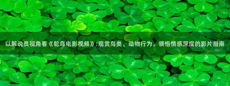 星空影视传媒