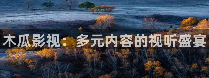 星空的照片