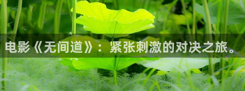 星空影院在线观看全集免费高清