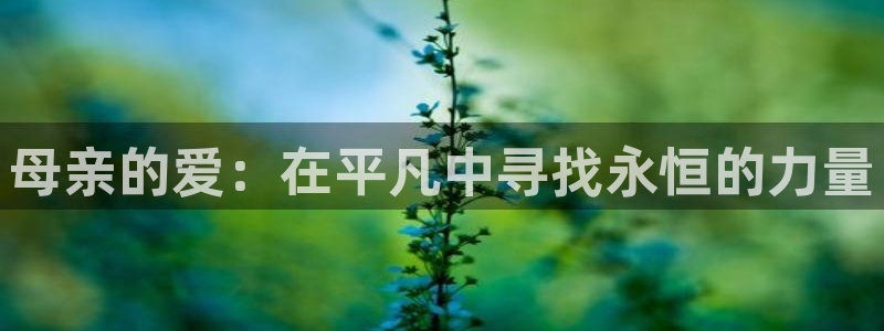 星空视频app