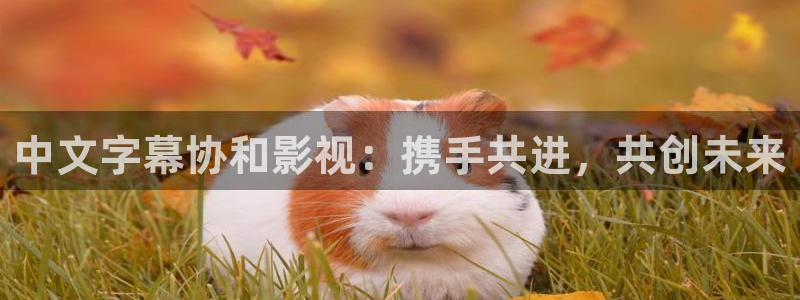 星空传媒精东影业