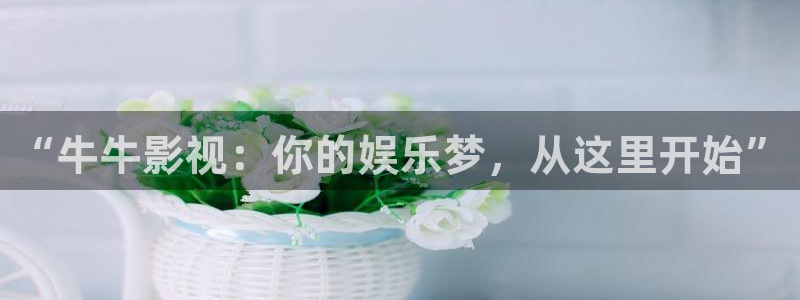 星空传媒在线观看