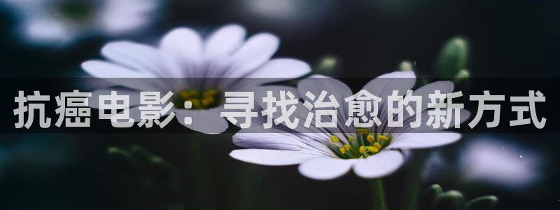 大庆中影星空影城影讯今日